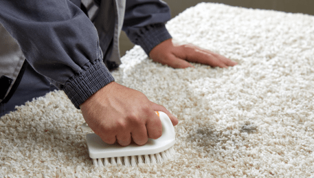 Professional Rug Cleaning Wallace